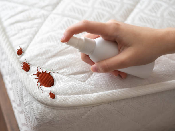 Best Residential Pest Control  in Clearlake Riviera, CA